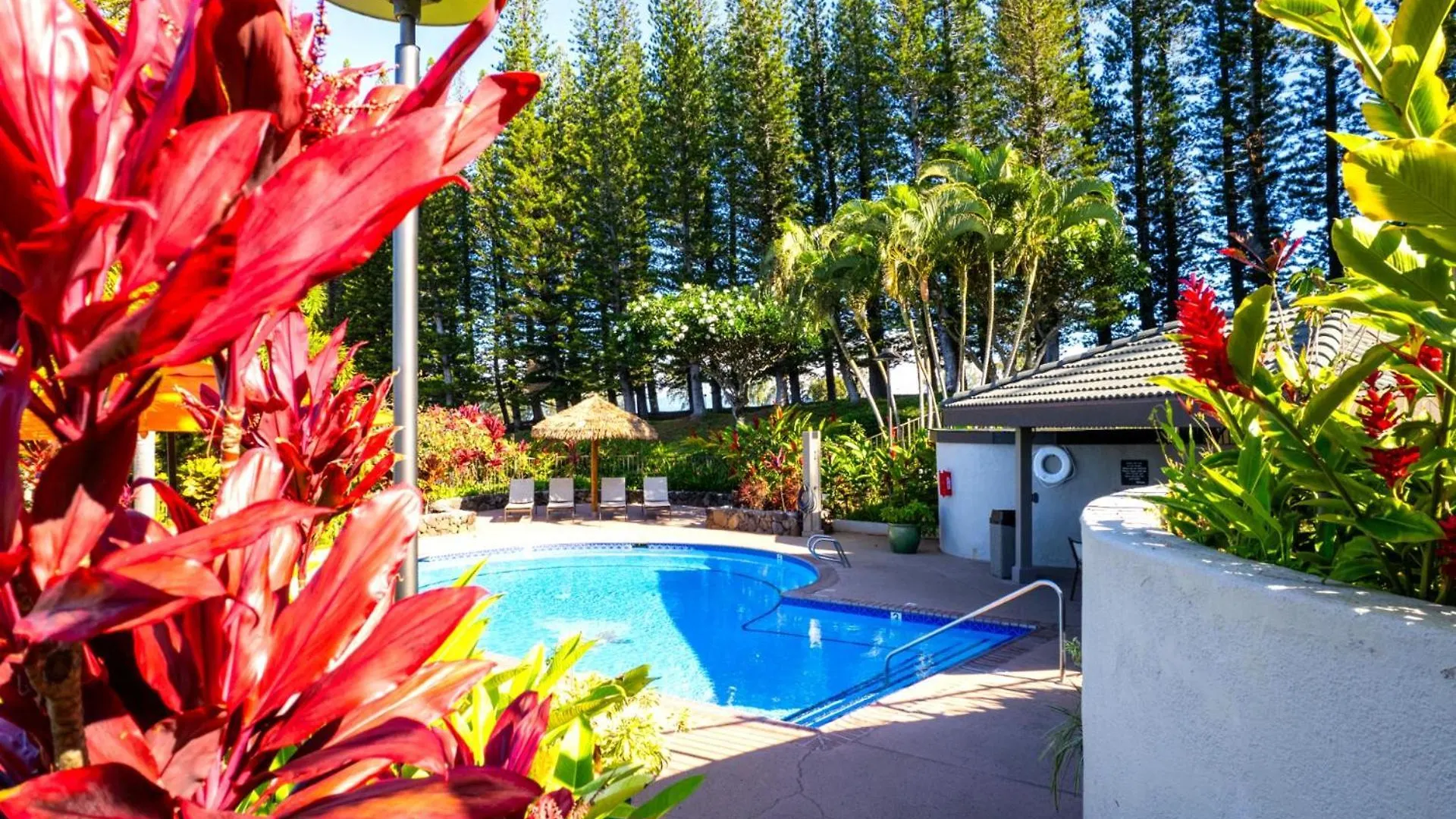 Kbm Resorts Free Car Kapalua Golf Villa 2-Bedroom Condo With Fairway Views Kgv-16P3 0*,